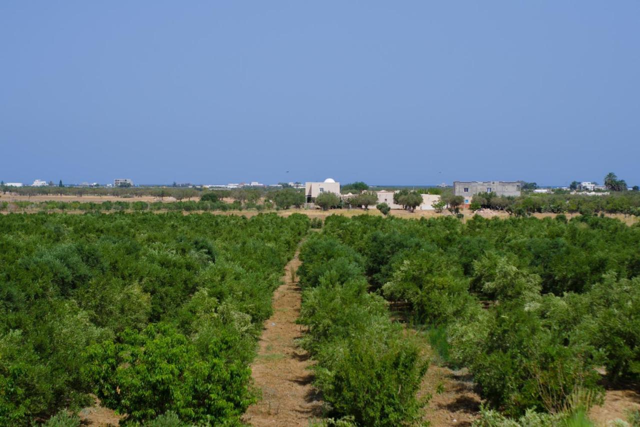 Villa Olivia, Yasmine Hammamet, Bouficha Экстерьер фото