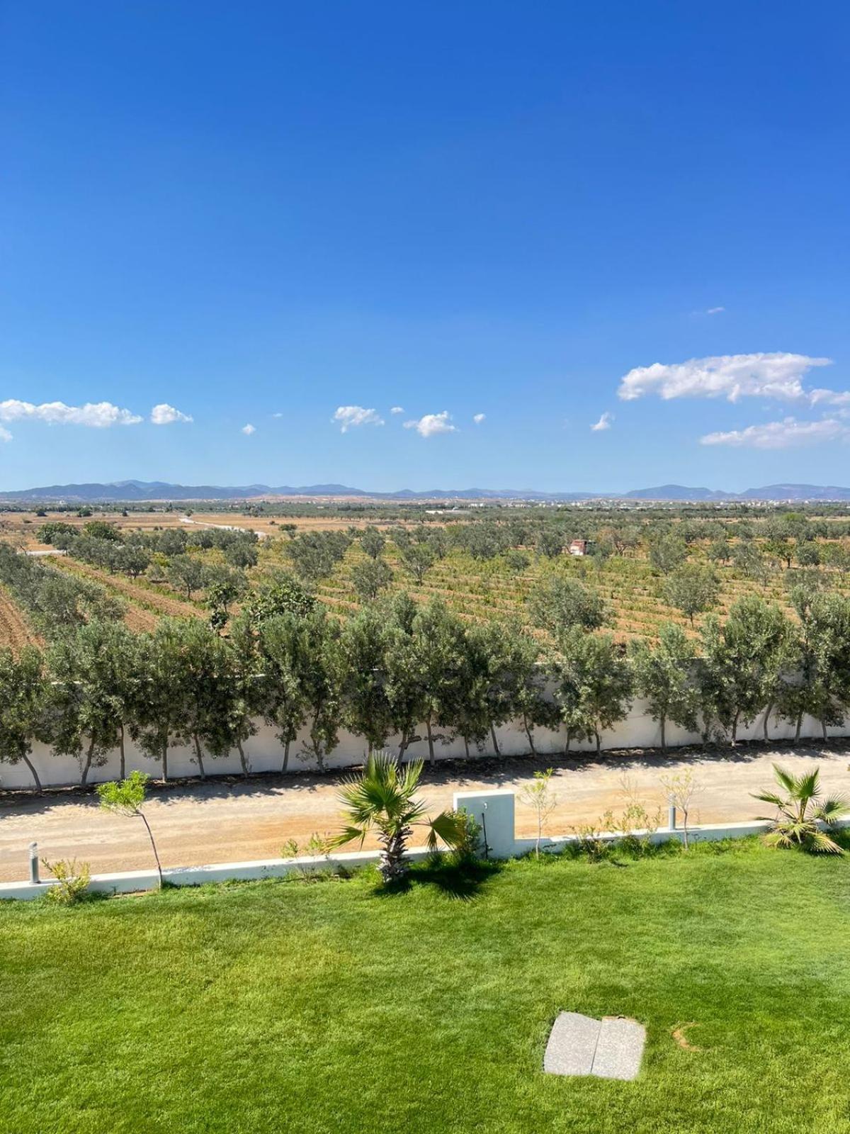 Villa Olivia, Yasmine Hammamet, Bouficha Экстерьер фото